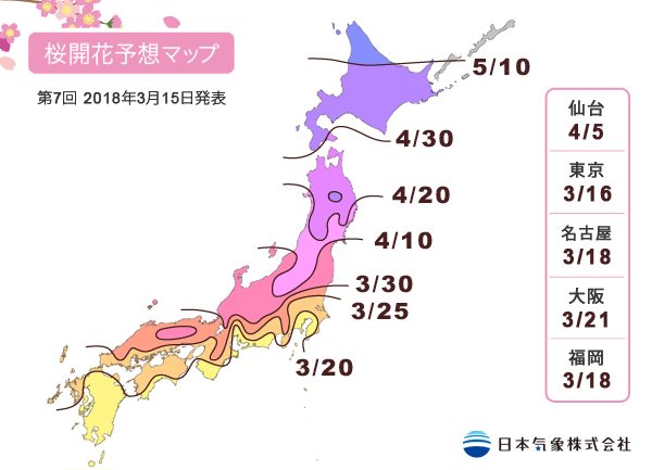 北海道的五月櫻｜和秋天紅葉相反，櫻花的開花季節會在三月左右由本州開始，慢慢往北移動，北海道一般在五月初才會迎來我們的櫻花季！也因爲櫻花由開花至滿開只有大概一