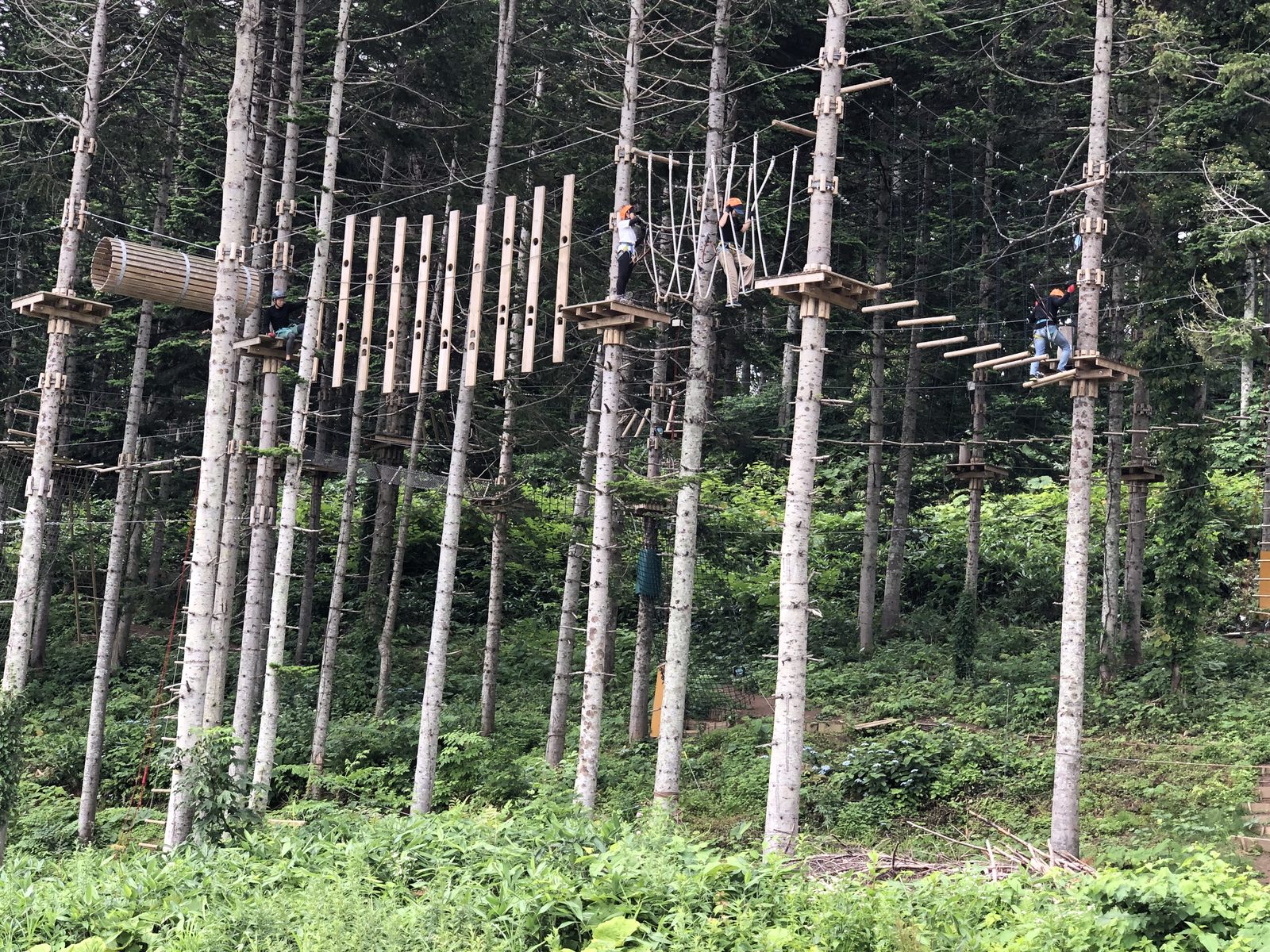 NAC Adventure Park 冒險公園