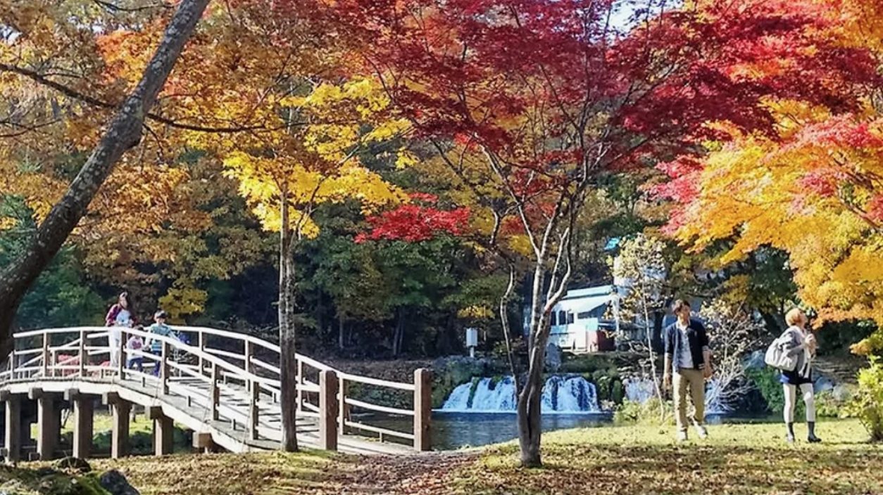 在冬天來臨之前 - 紅葉季節｜地點：〒044-0131 北海道虻田郡京極町字川西４５