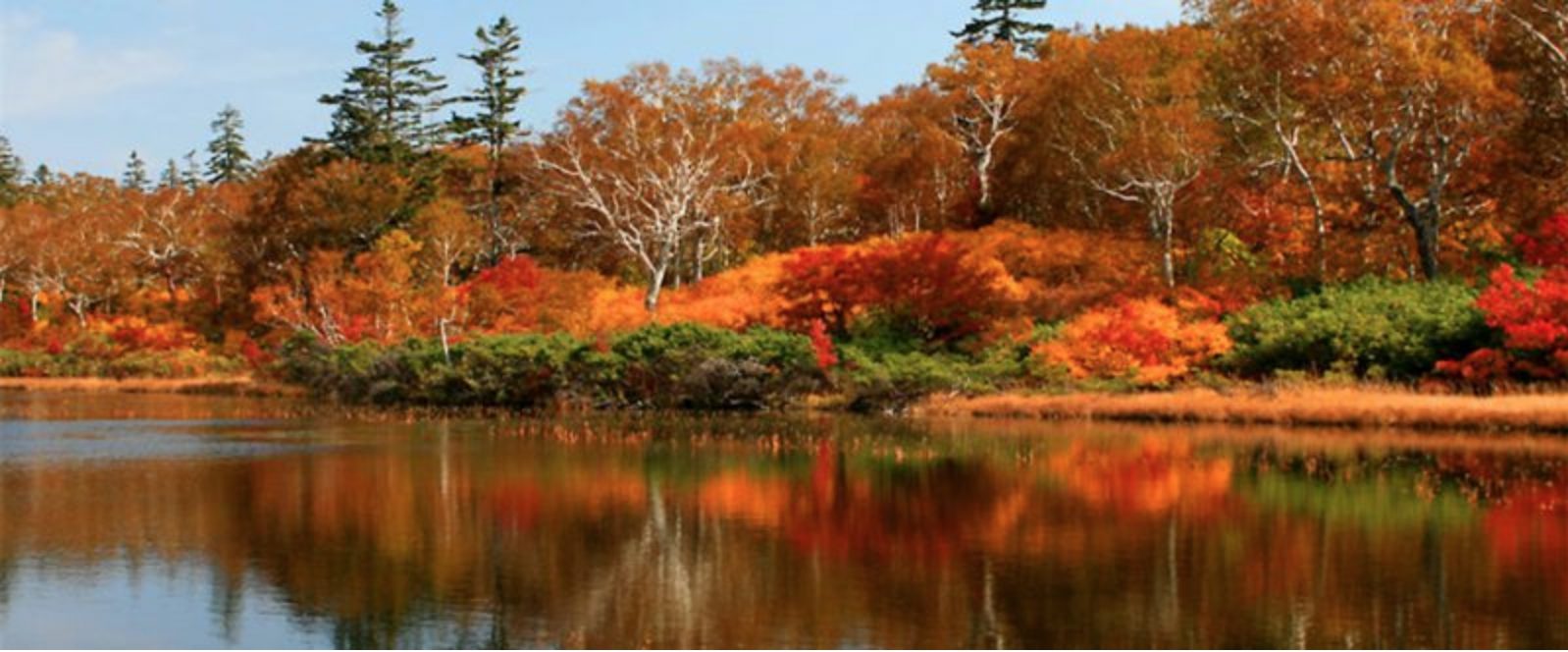 在冬天來臨之前 - 紅葉季節｜地點：Maeda, 共和町岩內郡北海道 048-2201