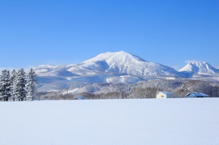新味觉体验 - 新雪谷蒸馏所|Ohoro JIN原料有:北海道香杨梅、北海道薄荷、杜松子、香菜、当归根、甘草、洋甘菊、柠檬、橙子、柚子、莱姆及葡萄柚,淡淡的柑橘香也适合做