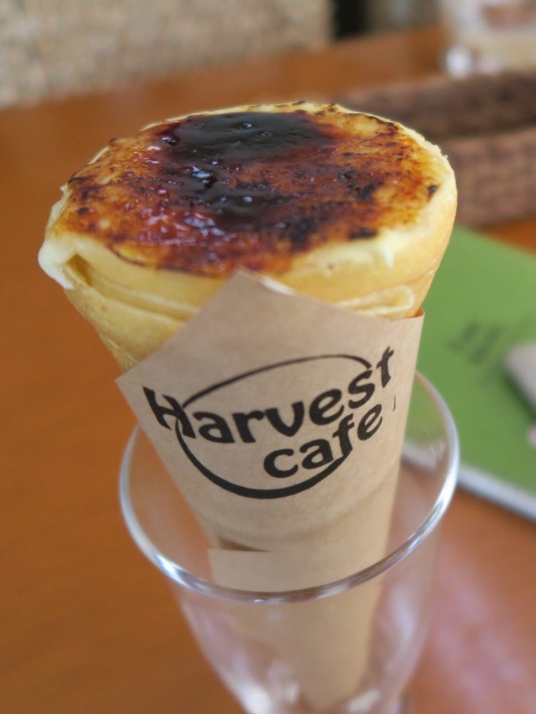 雪浪推介:Harvest Cafe|吃得比較少的話可選擇雞肉沙拉,吃起來很清爽沒有負擔