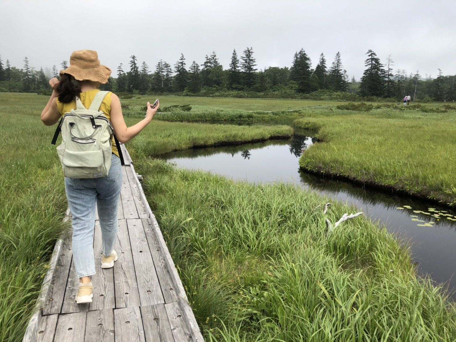 雪浪夏天推介:Hiking健行筆記|這條步道由停車場出發一路都有因為保護自然動植物而建造的木棧道,走起來是相當輕鬆的,也很適合老人家或是小朋友前來。天氣好沒有風的時候,可以看到