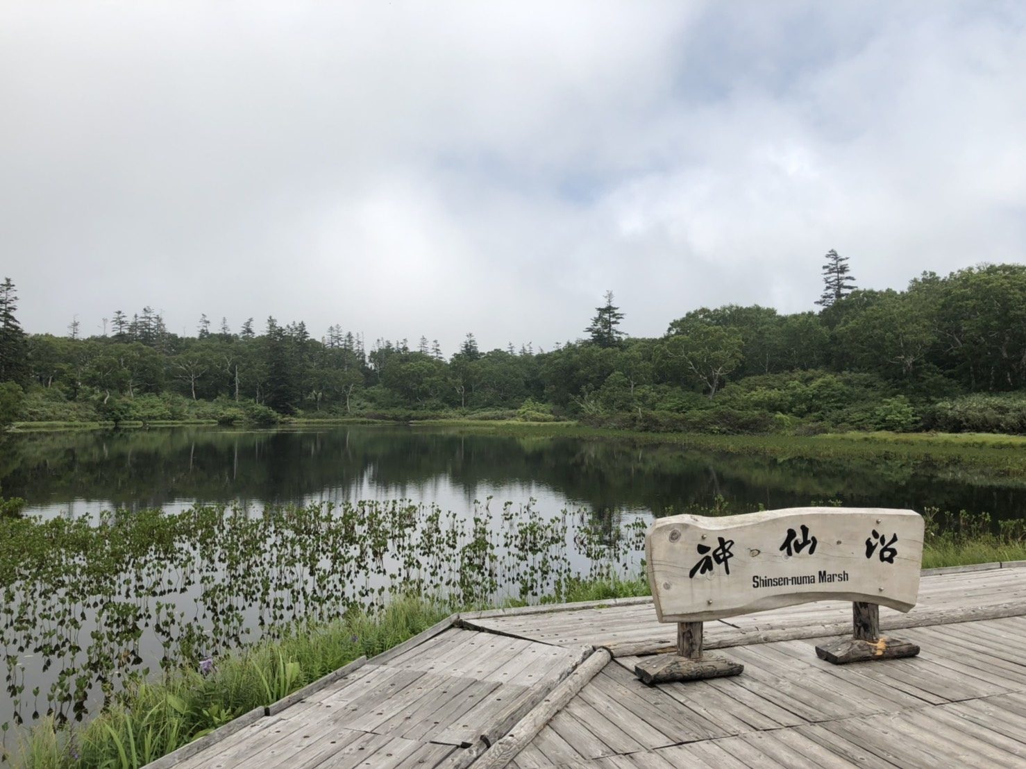 雪浪夏天推介:Hiking健行筆記|這條步道由停車場出發一路都有因為保護自然動植物而建造的木棧道,走起來是相當輕鬆的,也很適合老人家或是小朋友前來。天氣好沒有風的時候,可以看到