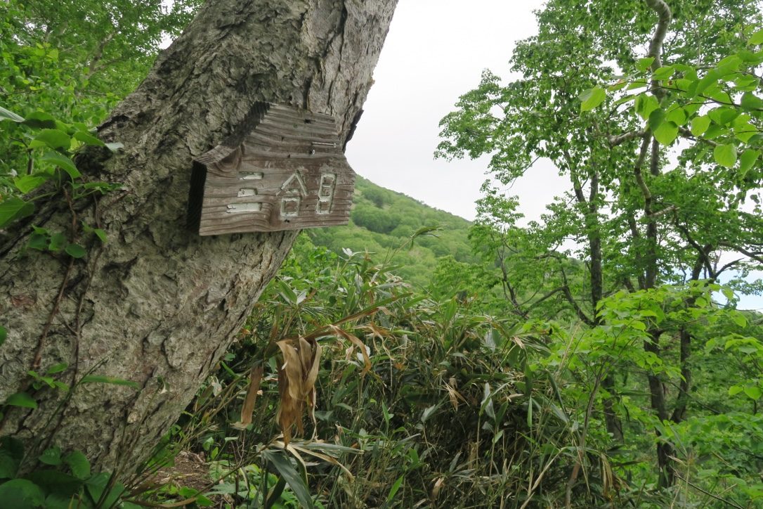 雪浪夏天推介:Hiking健行筆記|但也因為羊蹄山的確難度較高,一路上雖然皆有一合目、二合目等等到山頂的標示,也建議大家務必做好事先準備,攜帶足夠水分與糧食,也在入山口填寫「入