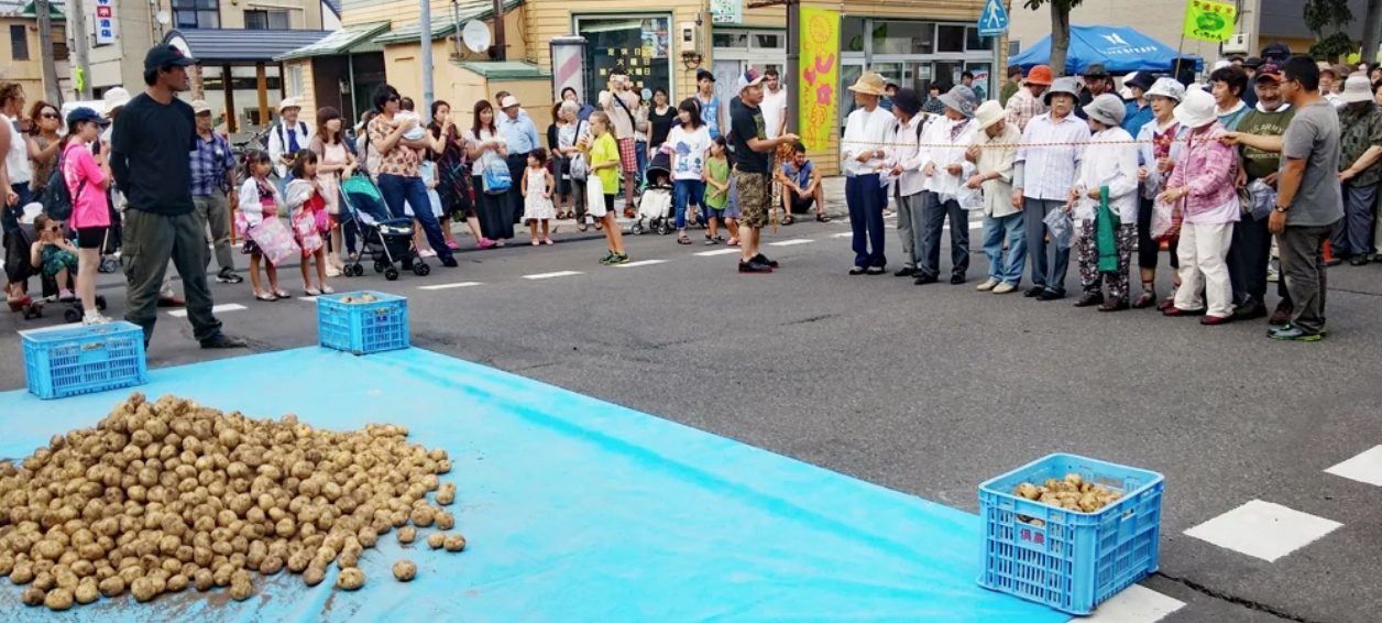 新雪谷的夏天祭典:じゃが祭り|要链接到新雪谷一定会经过这个叫做俱知安的小镇,无论是JR、机场巴士、自驾要去雪场一定会经过,可以说是新雪谷的玄关!在新雪谷的玄关倶知安的特产