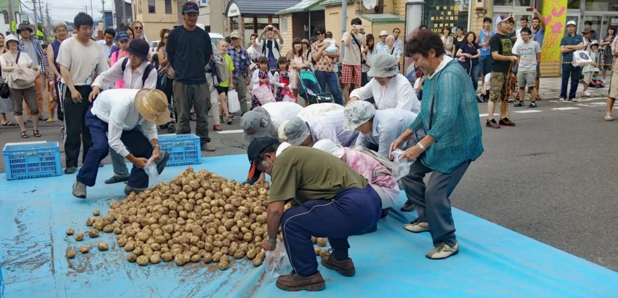新雪谷的夏天祭典:じゃが祭り|要链接到新雪谷一定会经过这个叫做俱知安的小镇,无论是JR、机场巴士、自驾要去雪场一定会经过,可以说是新雪谷的玄关!在新雪谷的玄关倶知安的特产