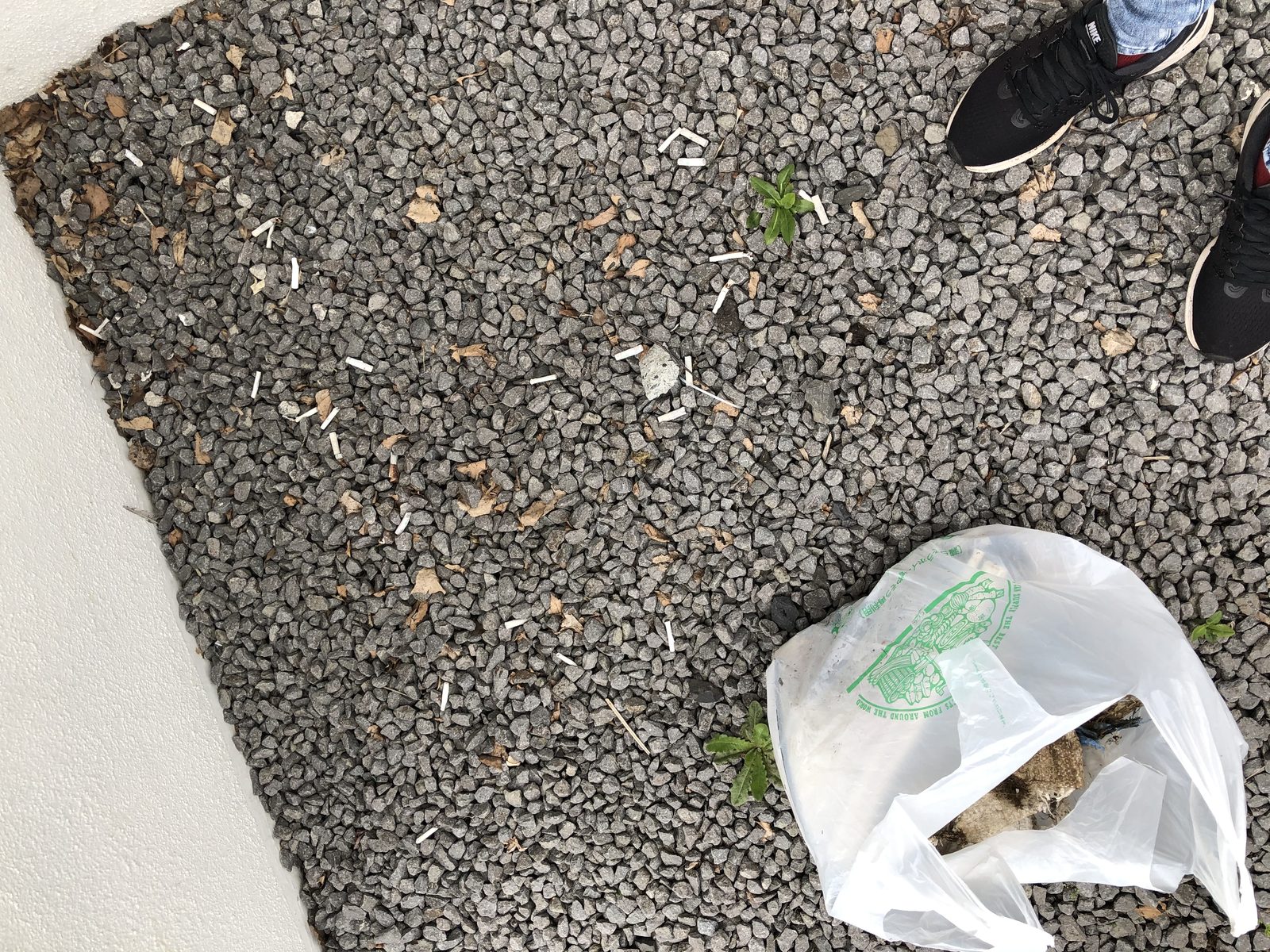 新雪谷季末大扫除|不到半天的时间,我们每个人就已经「满载而归」,也才更体会到一个人的微小行动也可以对环境做出很大的贡献。虽然今年因为新型冠状病毒的关系,活动以