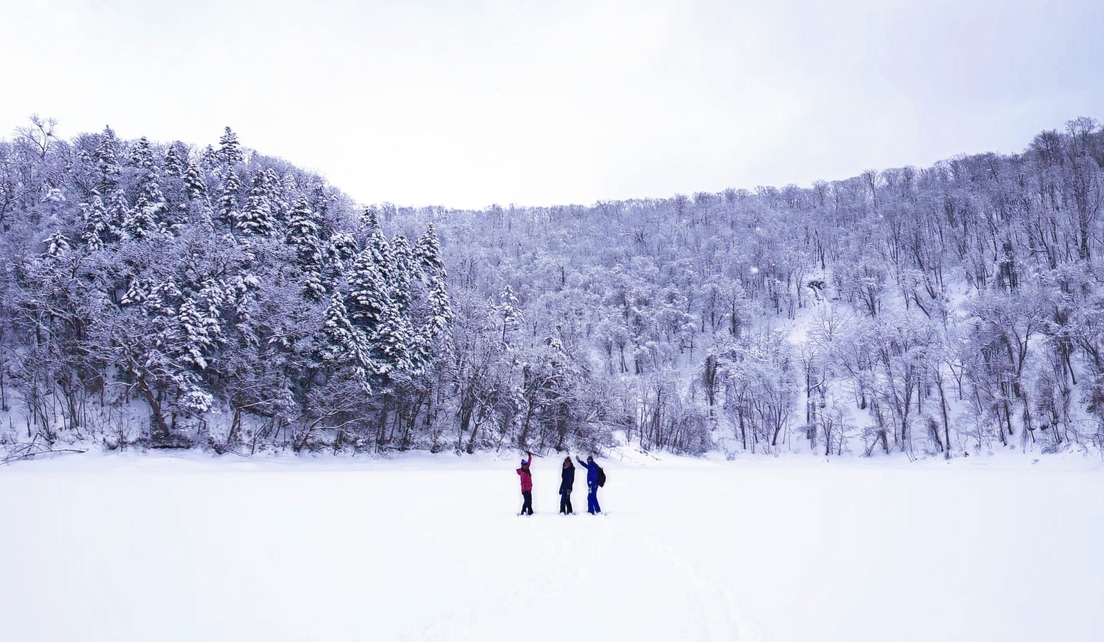 雪浪推介 - 雪鞋体验Snowshoe Tour|我们参加雪鞋体验这天虽然没有在半月湖看到羊蹄山,不过意料之外当天竟然下起了大雪,沿途走过的路线和放眼望去的自然景色都是刚下大雪后的景象,一步