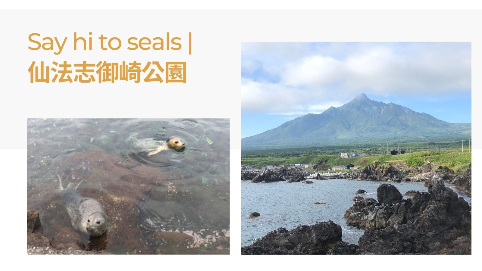 利尻兩天一夜豐富版|!(/images/blog-rishiri-island-2day-trip-05.jpg)