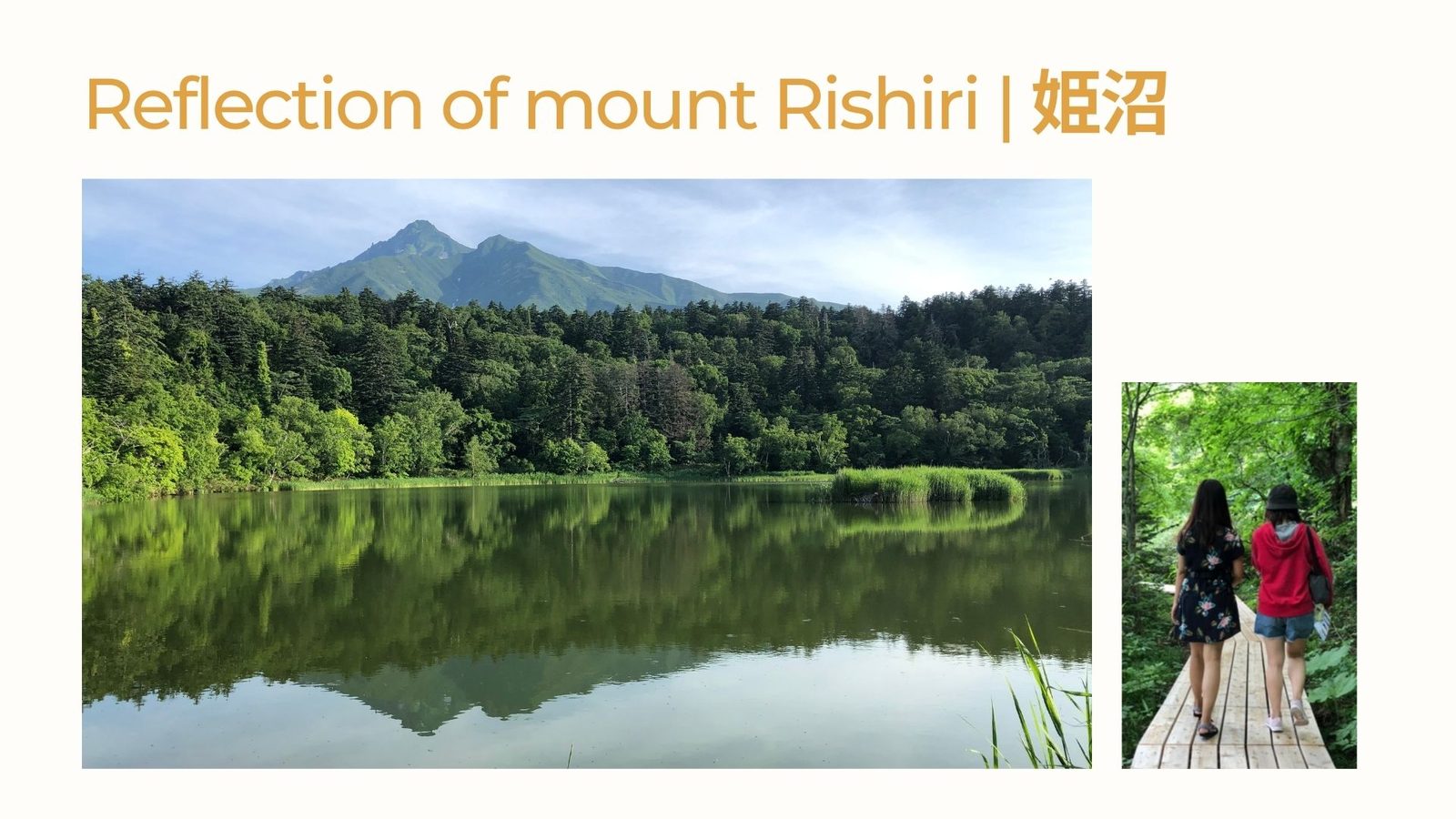 利尻兩天一夜豐富版|!(/images/blog-rishiri-island-2day-trip-05.jpg)
