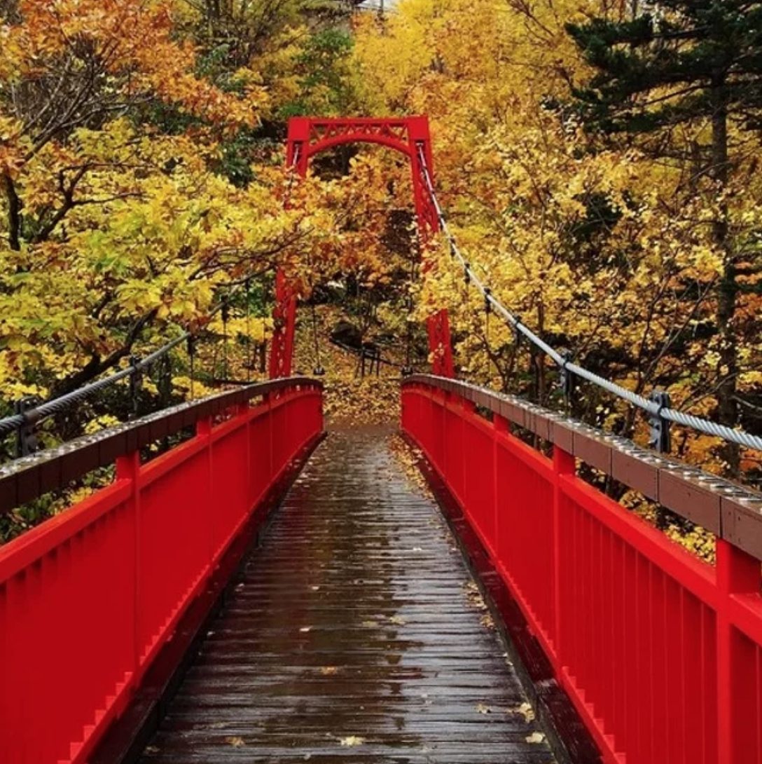 札幌近郊追枫好地点|位于定山溪村内的二见桥(距离丰平峡大坝约5分钟车程),也是喜欢赏枫的朋友不容错过的地方。沿着溪边散步,脚下的落叶及眼前的枫叶都相当引人入胜,